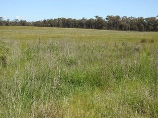 Click to view all images CA 61, Sec A Paynters Road Violet Town VIC 3669 - Image 2
