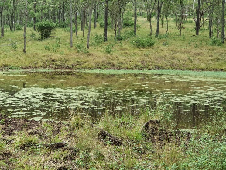 Pimpimbudgee QLD 4615 - Image 1
