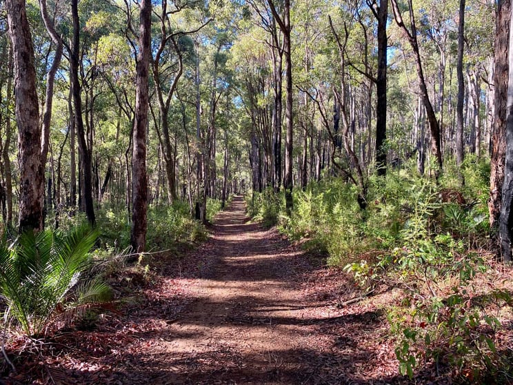Click to view all images Lot 22 Oro Road Dwellingup WA 6213 - Image 1