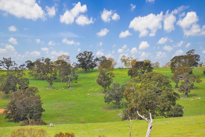 Click to view all images 4970 Coleraine Edenhope Road Harrow VIC 3317 - Image 3