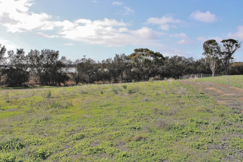 Click to view all images 660 Brockman Road Wagin WA 6315 - Image 3