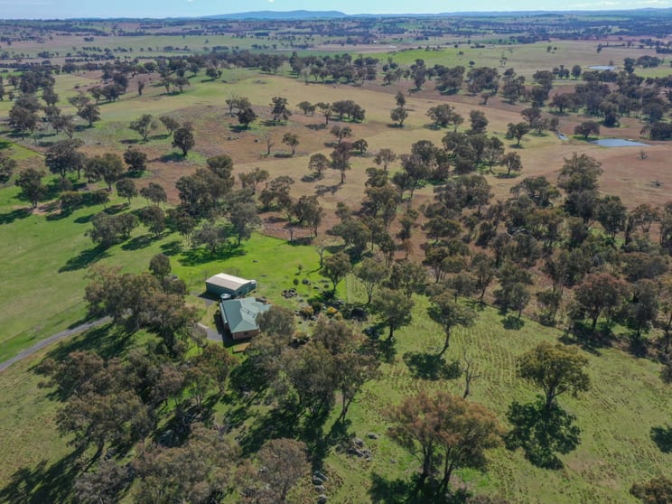Click to view all images Young NSW 2594 - Image 3