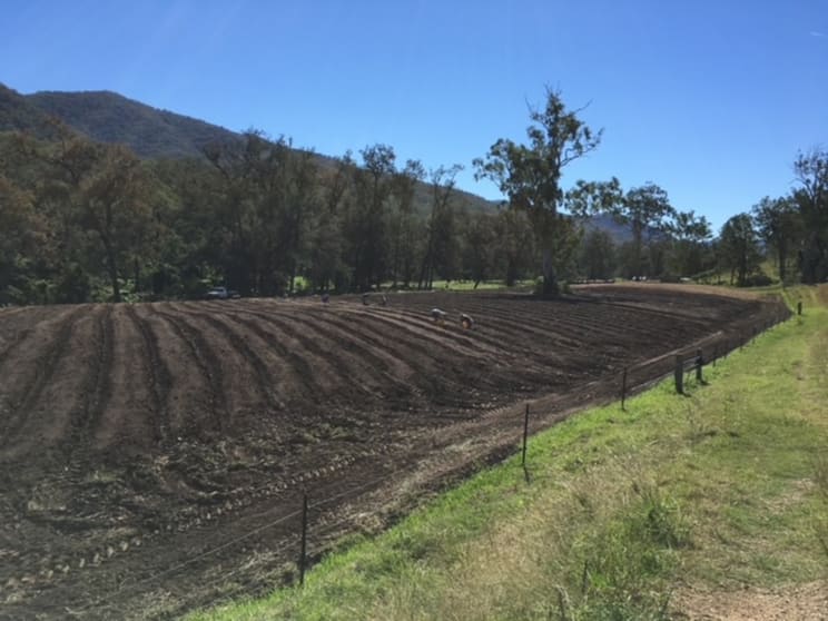 Click to view all images 4/2501 Rocky River Road Rocky River NSW 2372 - Image 2