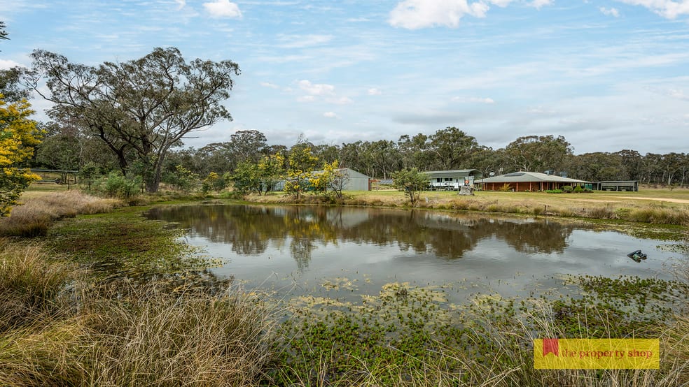 Click to view all images 514 Wallawaugh Road Mudgee NSW 2850 - Image 1