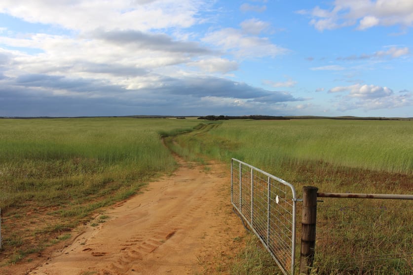 Click to view all images 570 Ridgway Road Lameroo SA 5302 - Image 1