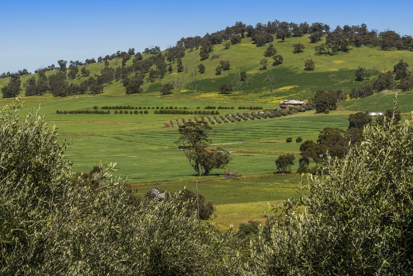 Click to view all images Bindoon WA 6502 - Image 3