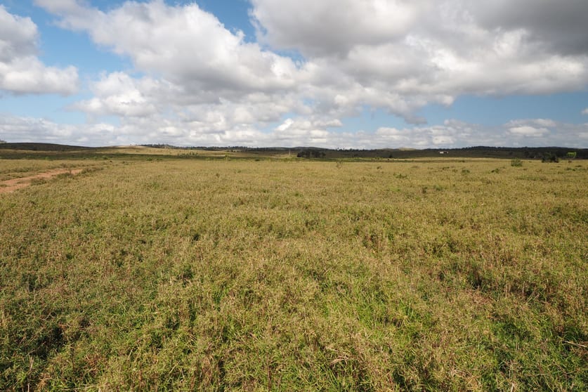 417 Jackson Road Gogango QLD 4702 - Image 3