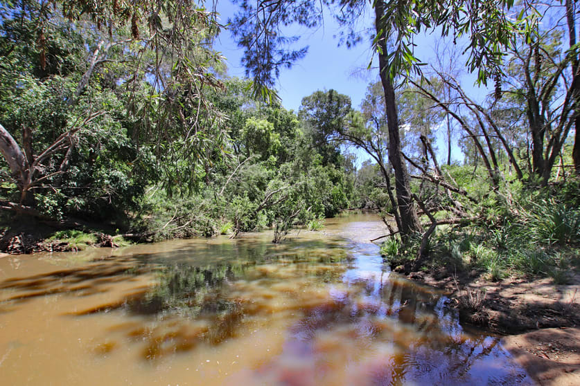 Click to view all images "Damascus" Damascus Road Gin Gin QLD 4671 - Image 3