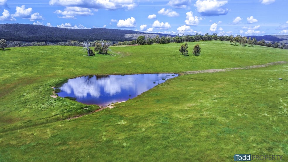 1, 5600 Northern Highway Tooborac VIC 3522 - Image 1