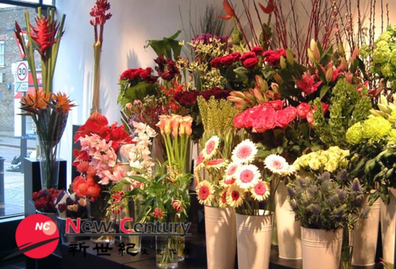 Click to view all images Shop & Retail business for sale in Belgrave - Image 1