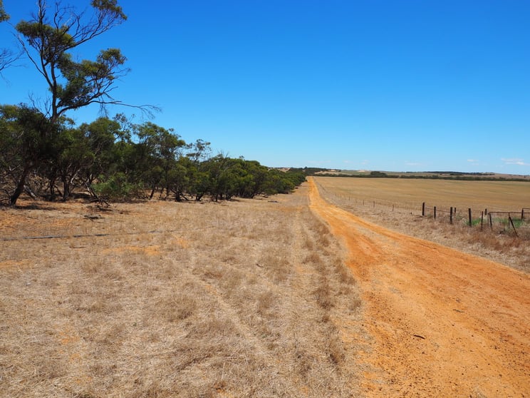 Click to view all images 1061 Sandalwood Road Sandalwood SA 5309 - Image 3
