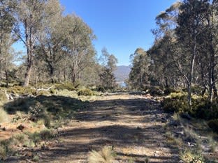 Click to view all images 81 Arthurs Lake Road Arthurs Lake TAS 7030 - Image 2