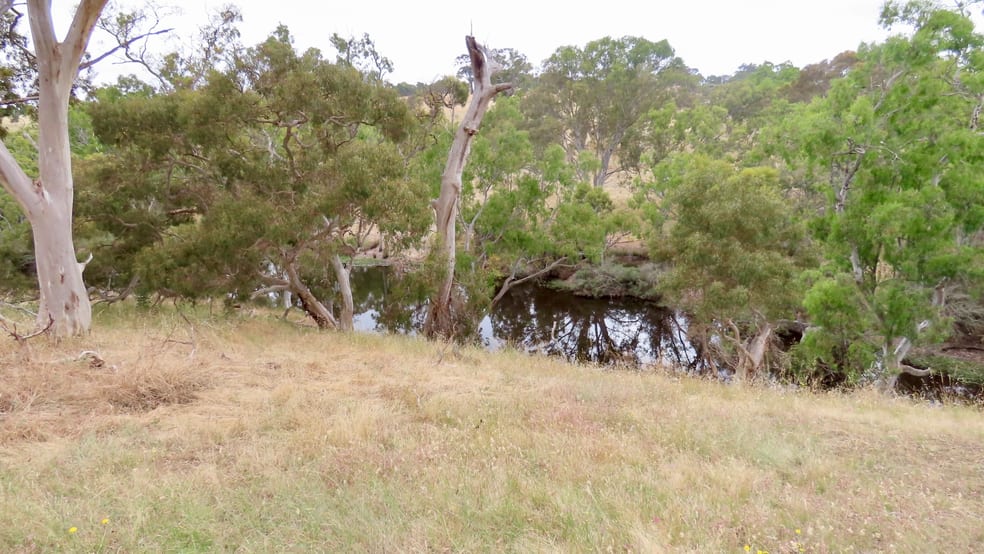 596 Mostyn Lane Balmoral VIC 3407 - Image 2