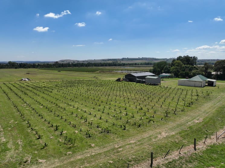 Click to view all images 321 Milbrodale Road Broke NSW 2330 - Image 3