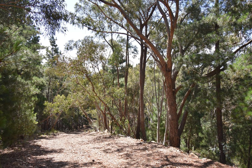 771 Greywacke Road Twenty Forests NSW 2795 - Image 2