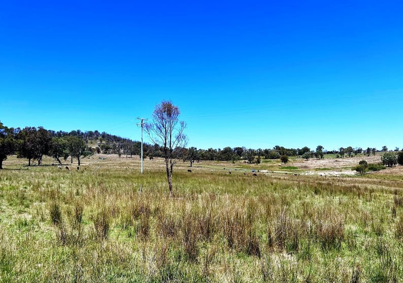 Click to view all images Lot 322 Jenkyn Lane Uralla NSW 2358 - Image 3