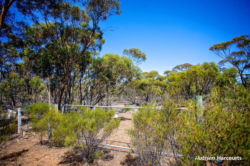 Click to view all images 90 Cattlin Road Ravensthorpe WA 6346 - Image 3