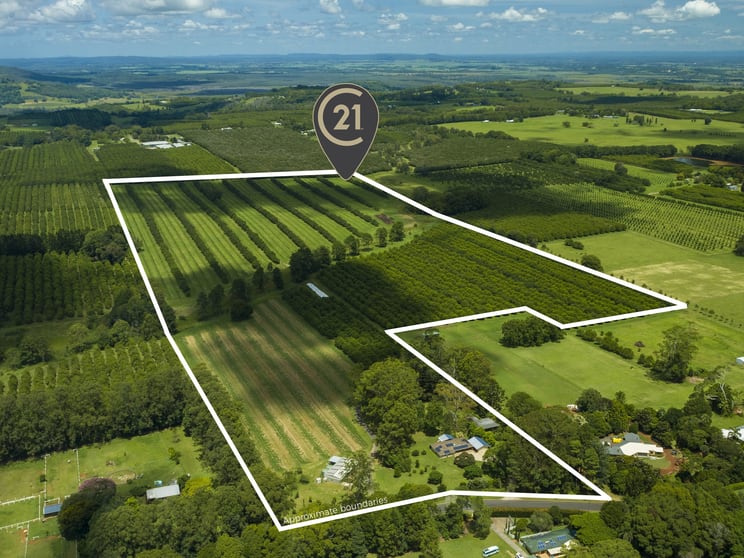 Click to view all images 55 Rous Road Alstonville NSW 2477 - Image 2
