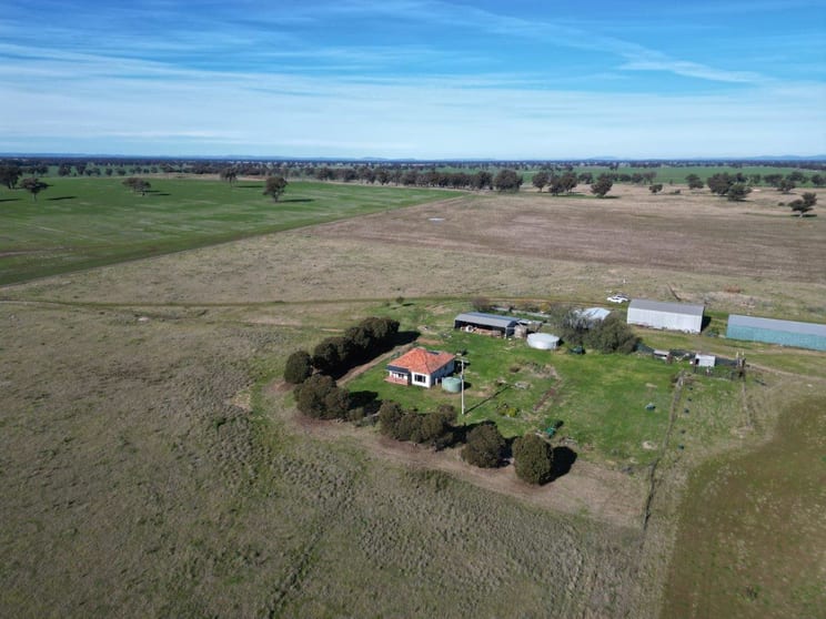 Click to view all images 'Awana', 2655 Tubbul Road Young NSW 2594 - Image 1