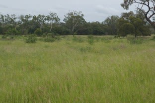 'Southwalk Station' Back Creek Road Charters Towers City QLD 4820 - Image 3