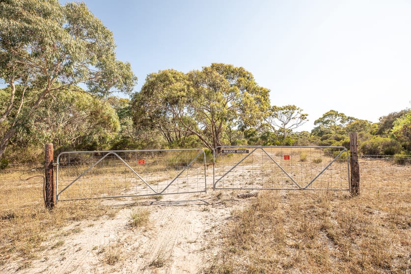 Click to view all images Lot 101 Mount Scott Road, Blackford Kingston Se SA 5275 - Image 2