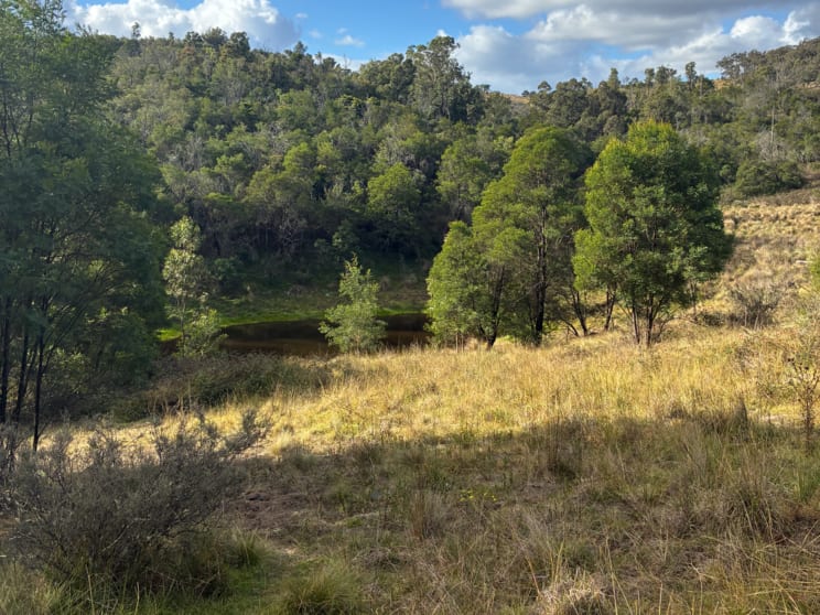 Click to view all images 200 Pulpit Rock Road Bullio NSW 2575 - Image 3