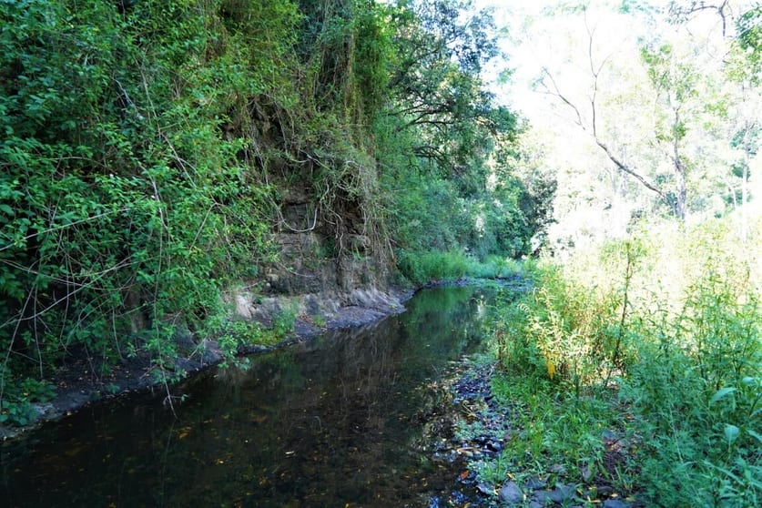 Click to view all images Lot 10 Wyndham Road Kyogle NSW 2474 - Image 3