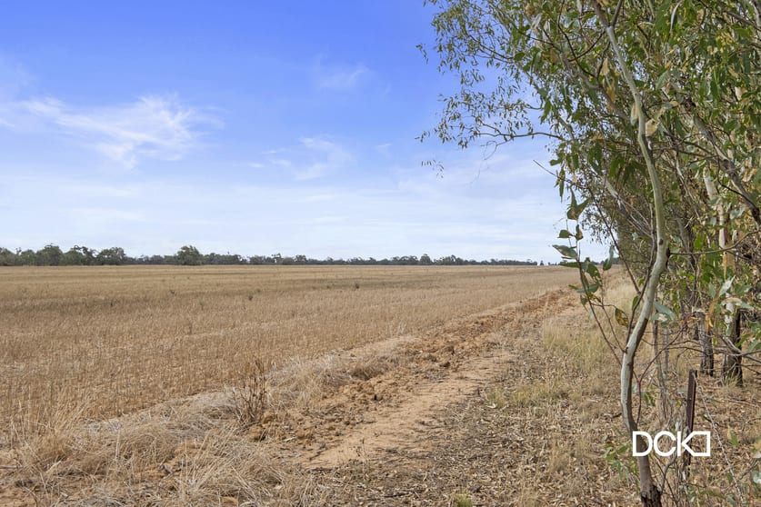 Click to view all images Lot 1 & 2 Elmore-Mitiamo Road Milloo VIC 3572 - Image 2