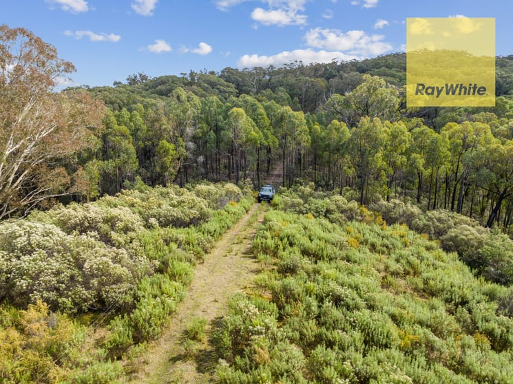 Click to view all images 1013 Bigga Road Crooked Corner NSW 2583 - Image 3