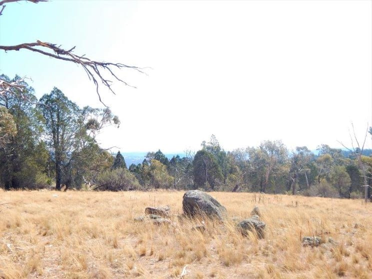 Click to view all images Lot 354 & Lot 1 Maffra Road Cooma NSW 2630 - Image 3