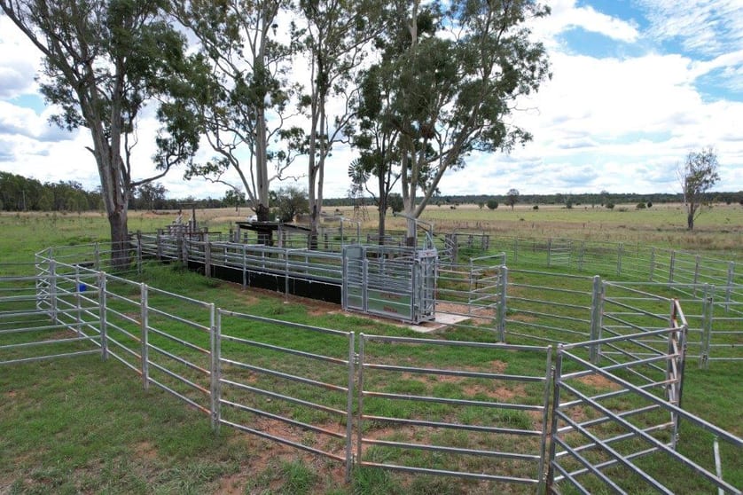 Click to view all images 820 ACRES CATTLE GRAZING Jandowae QLD 4410 - Image 2