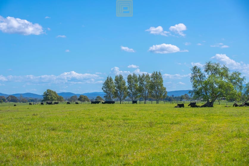 Click to view all images 145 Third Lane Kempsey NSW 2440 - Image 2