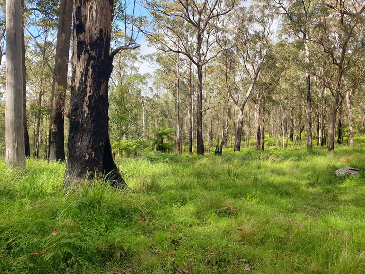 Click to view all images . Lands End Road, Kingsgate NSW 2370 - Image 2