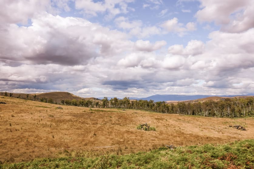 Click to view all images . Lanes Tier Road Ouse TAS 7140 - Image 3