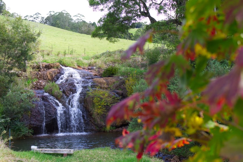 Click to view all images 746 Whisky Creek Road Dorrigo NSW 2453 - Image 2