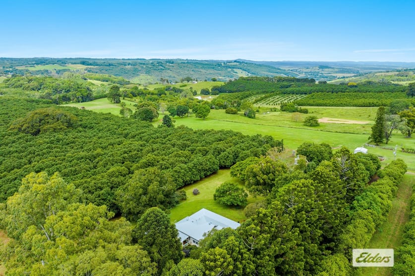 Click to view all images Lot 3, 789 Tregeagle Road Tregeagle NSW 2480 - Image 3