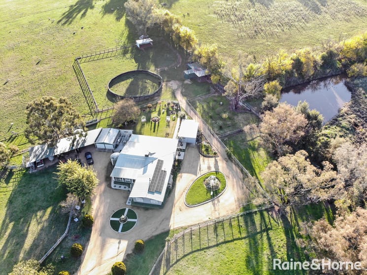 Click to view all images 50 Manganese Road Grenfell NSW 2810 - Image 1