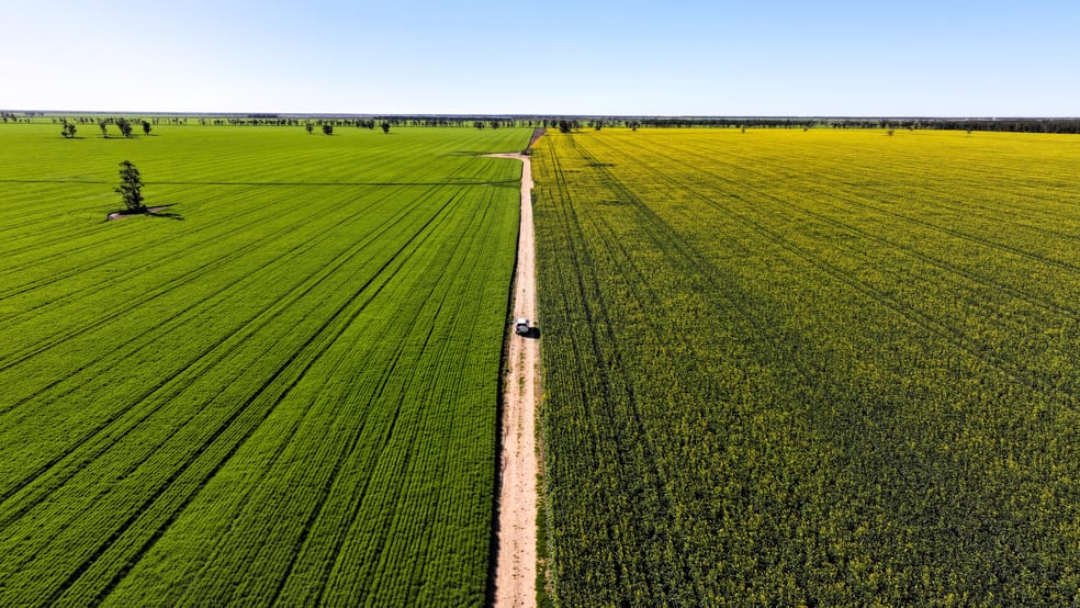 Click to view all images Terlings Newell Highway Moree NSW 2400 - Image 1