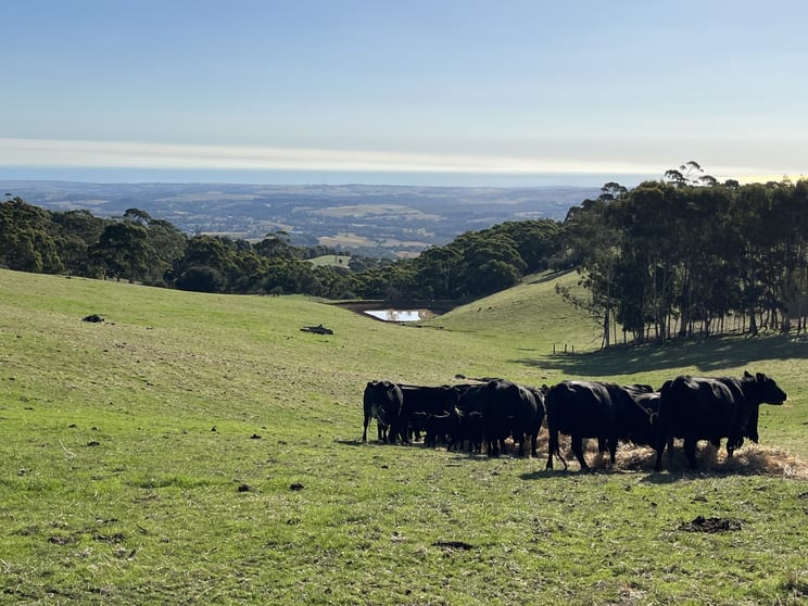 Click to view all images 1205 Range Road Mclaren Flat SA 5171 - Image 1