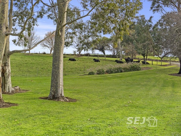 485 Canavans Road Leongatha North VIC 3953 - Image 1