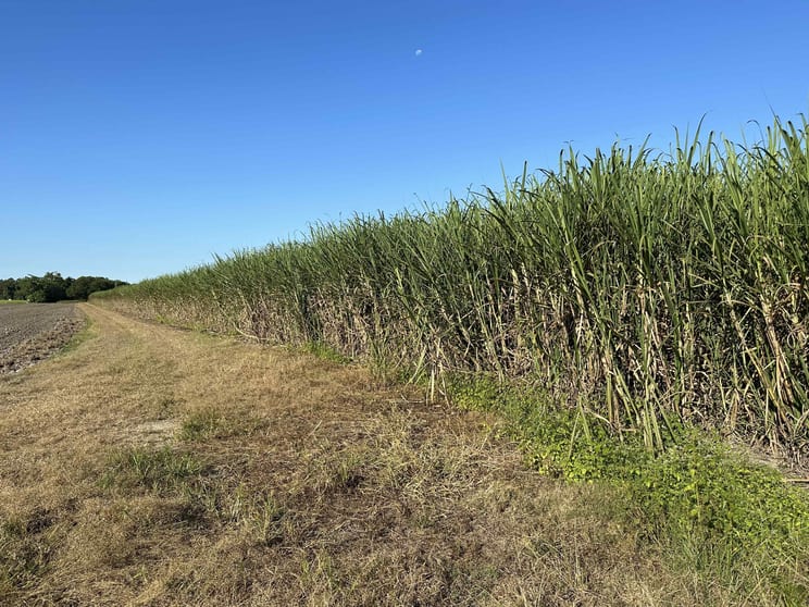 Click to view all images Lot 1 Davidson Road & Henry Road Euramo QLD 4854 - Image 2