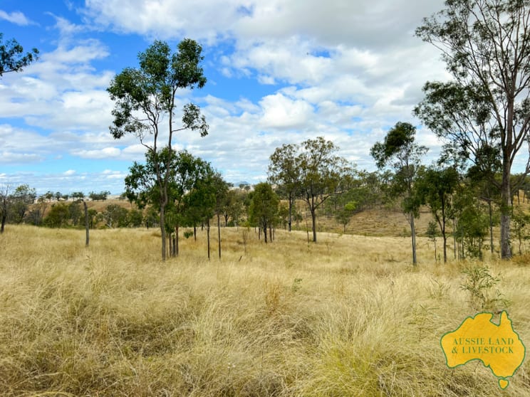 Click to view all images 717 ABERDEENS ROAD Wilson Valley QLD 4625 - Image 2