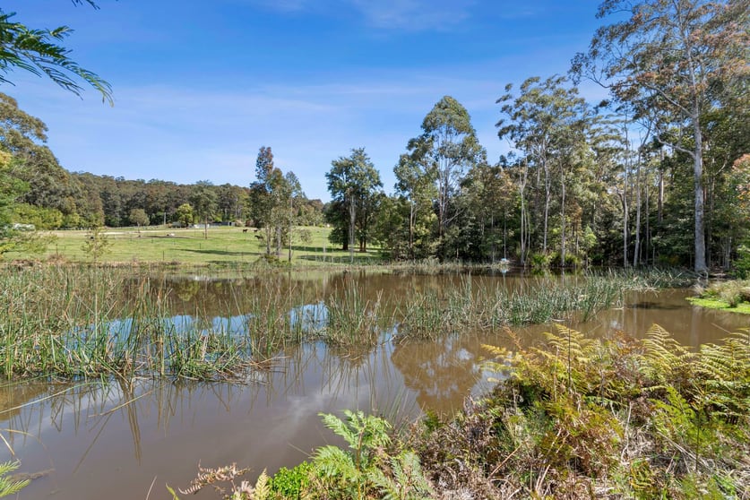 Click to view all images F1465 Princes Highway Termeil NSW 2539 - Image 3