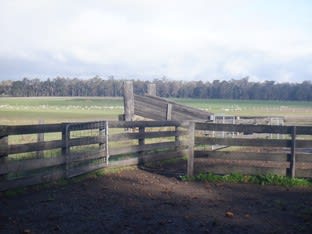 Click to view all images Lot 5884 Jackson Road Manjimup WA 6258 - Image 2