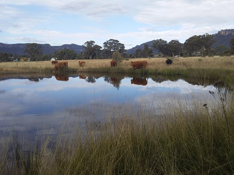 Click to view all images Lot 1, 277 Noola Road Rylstone NSW 2849 - Image 3