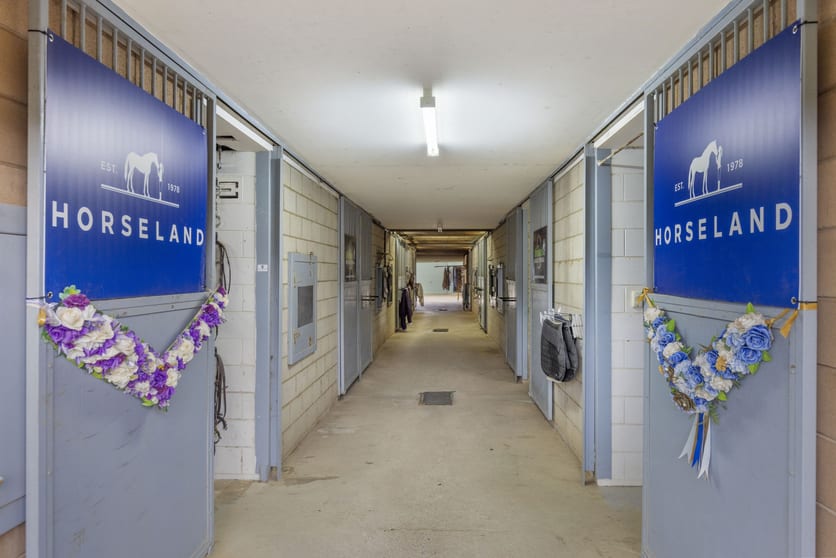 Click to view all images 920 Eumundi Kenilworth Road Belli Park QLD 4562 - Image 3