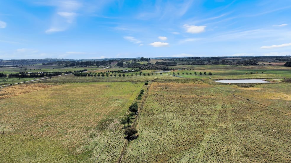 Click to view all images 75 Whiley Road Spring Hill NSW 2800 - Image 2