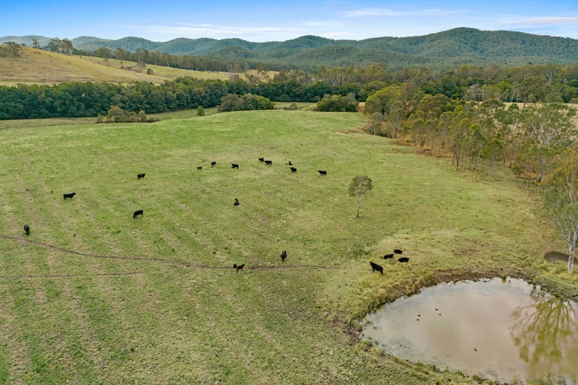 Click to view all images 345 Markwell Back Road Bulahdelah NSW 2423 - Image 2