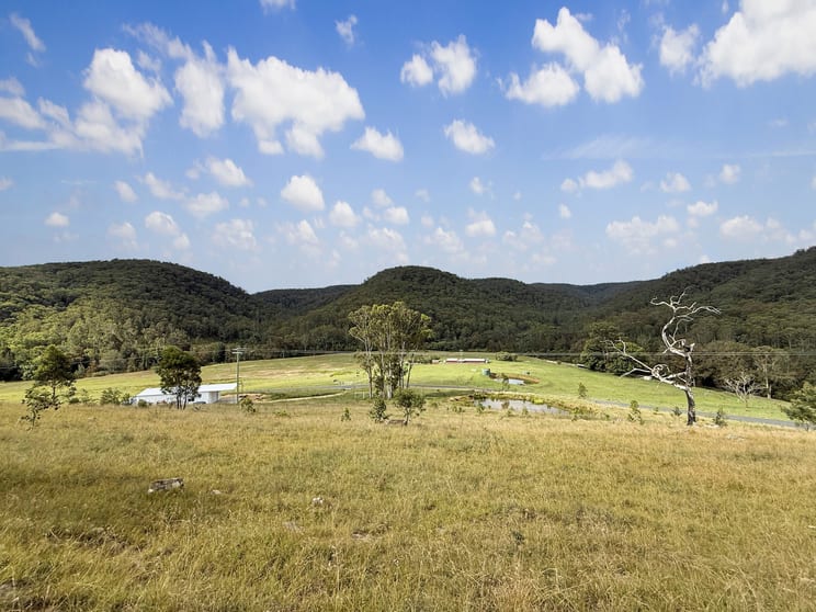 Lot 6 Paynes Crossing Rd Paynes Crossing NSW 2325 - Image 1