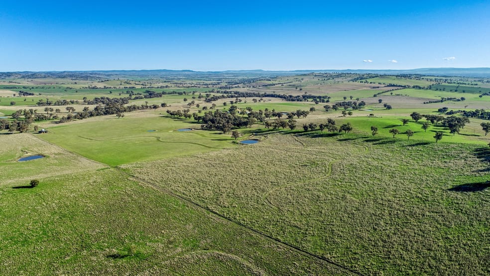 Click to view all images 802 Pine Mount Road Woodstock NSW 2793 - Image 1